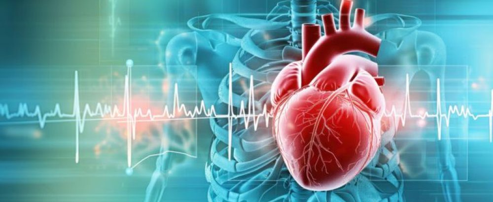 High definition photography of a heart with cardiology lines in the background depicted in a medical illustration style emphasizing cardiology and medical scienc #21574 _ Imaginebuddy
